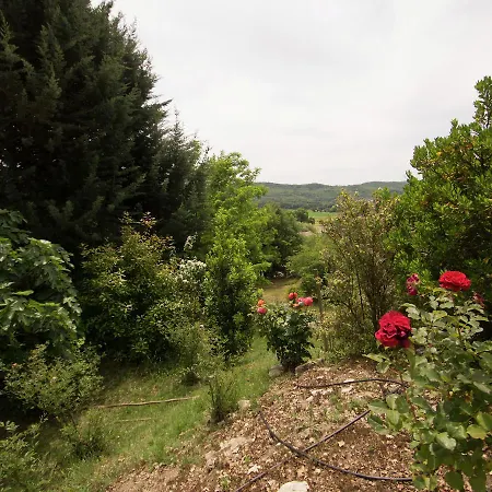 Ferienhaus Cozy Holiday In With Beautiful Scenery *